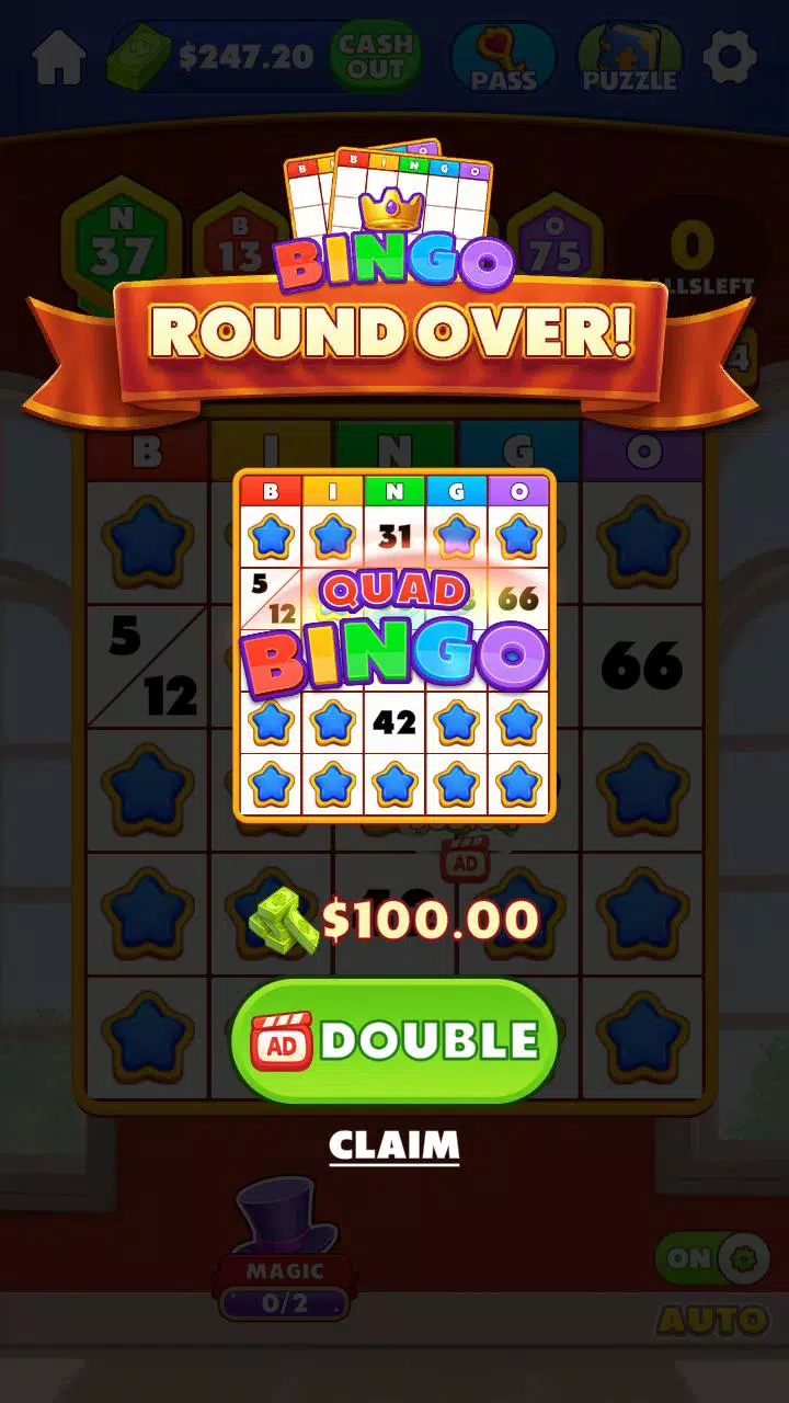 Bingo Pro:Crazy Game