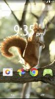 Little red squirrel LWallpaper poster