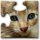 Katzen Puzzles APK