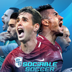 Sociable Soccer