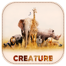 Creature. aplikacja