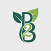 P2Be APK