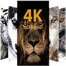Animal Wallpapers APK