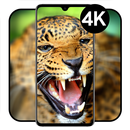 Wild Animal 4K HD Wallpapers APK