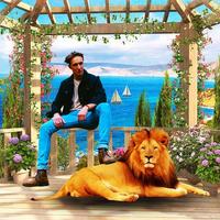 Lion photo Editor - Lionframe Cartaz