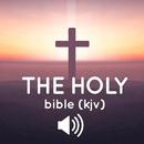 The Holy Audio Bible (KJV) APK