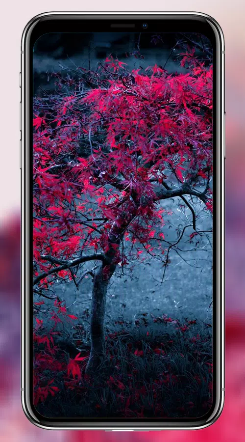 Galaxy S10 & S20 Hd Wallpaper & 4k Edge Wallpaper APK for Android Download