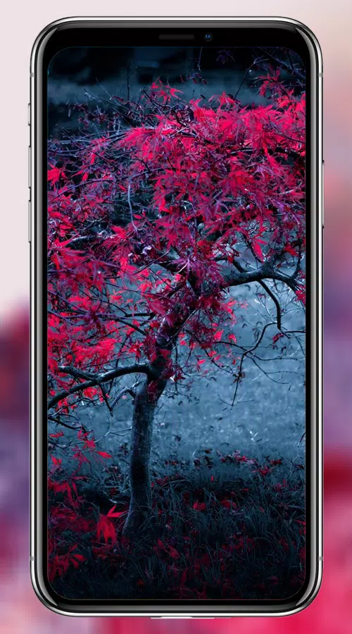 Galaxy S10 & S20 Hd Wallpaper & 4k Edge Wallpaper APK for Android Download Galaxy S10 & S20 Hd Wallpaper & 4k Edge Wallpaper APK for Android Download