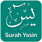 Surah Yaseen with Translation-icoon