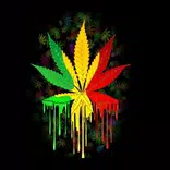 Suonerie Reggae