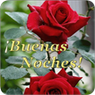 Good Night with Flowers