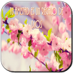Flores con Frases Cristianas