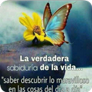 Pensamientos Sabios de Amor y Vida APK