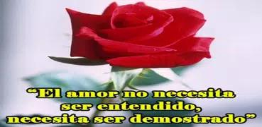 Rosas con Frases Bonitas 🌹