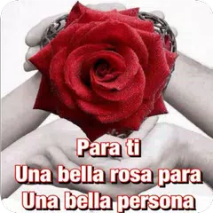 Rosas con Frases Bonitas 🌹 APK 下載