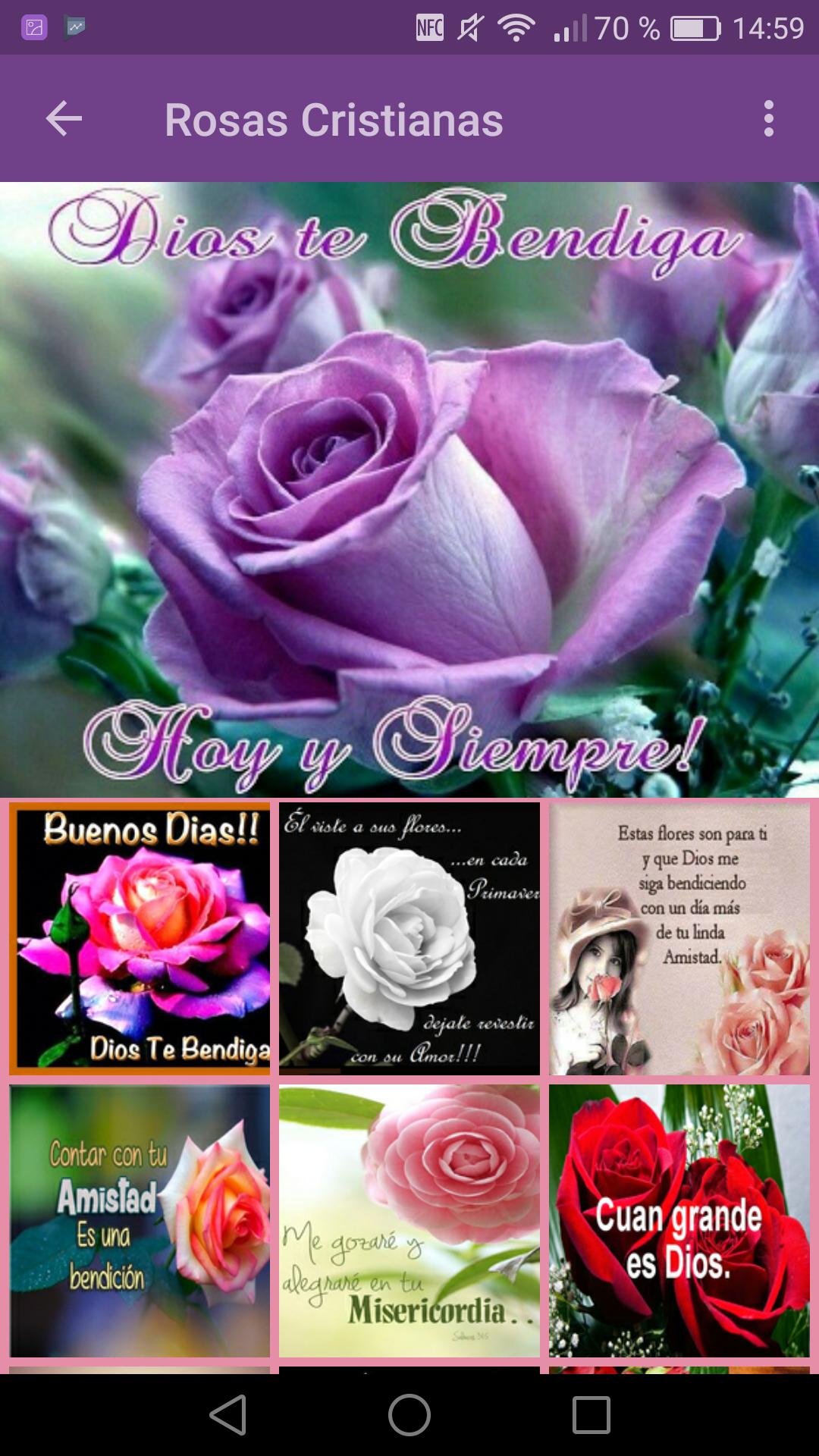 Rosas Con Frases Bonitas For Android Apk Download