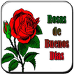 Rosas de Buenos Dias