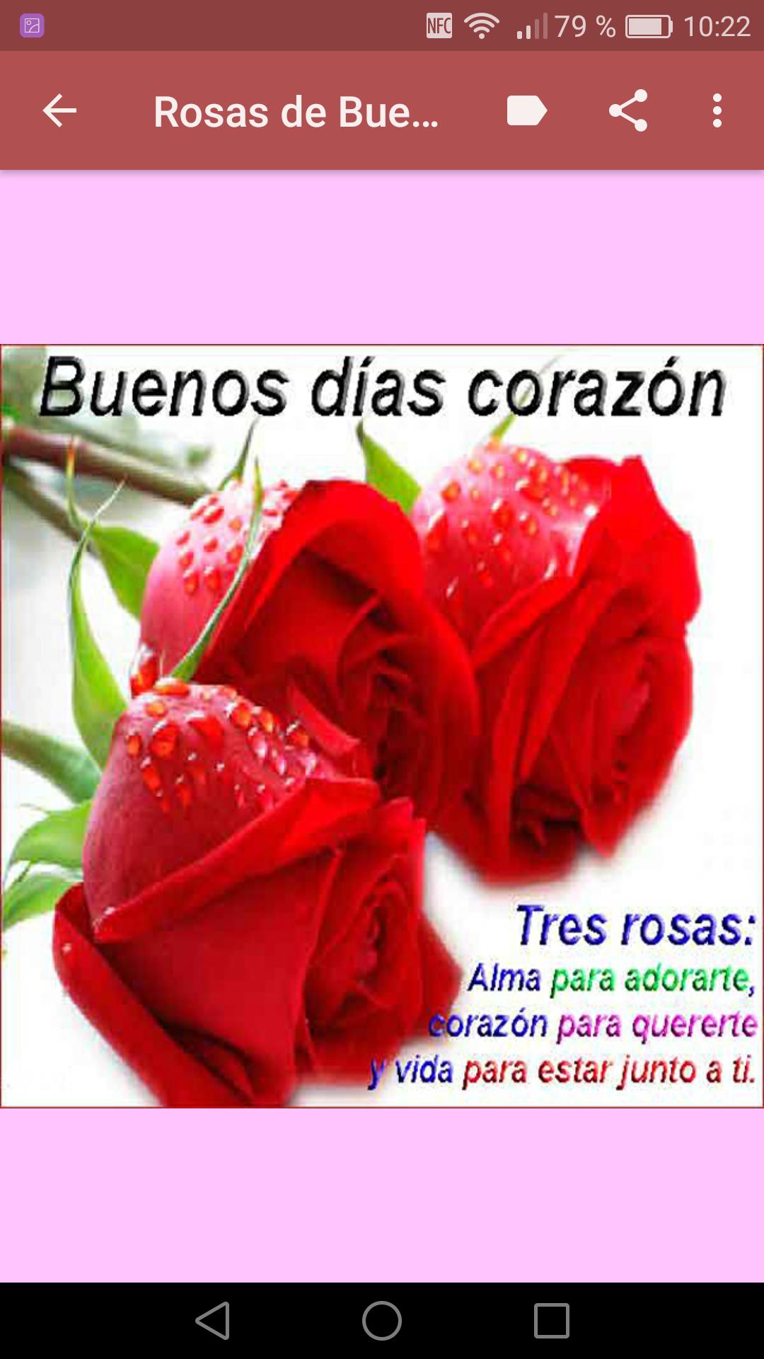 Rosas de Buenos Dias APK für Android herunterladen