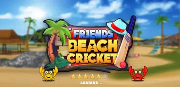 Friends Beach Cricket 2019: The Real Beach Cricket