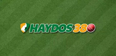 Haydos 380: Cricket Game