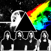 Pink Floyd : Ultimate Collections ♫