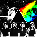 Pink Floyd : Ultimate Collections ♫ APK