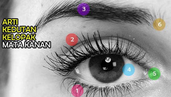 Primbon Arti Kedutan For Android Apk Download