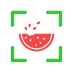 NutriPic: Calorías por Foto icono