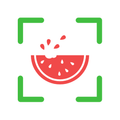 NutriPic: Calorías por Foto