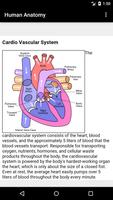 Human Anatomy plakat