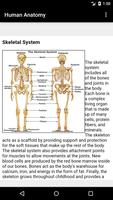 Human Anatomy स्क्रीनशॉट 1