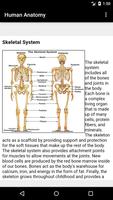 Human Anatomy capture d'écran 1