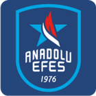 Anadolu Efes Spor Kulübü ikon