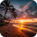 Beach HD Video Live Wallpaper aplikacja