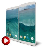 Dolphins Video Live Wallpaper Poster