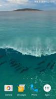 Dolphins Video Live Wallpaper captura de pantalla 1
