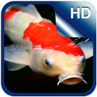Koi HD Live Wallpaper 图标
