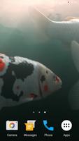 Koi HD Live Wallpaper 截图 3