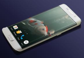 Koi HD Live Wallpaper 海报