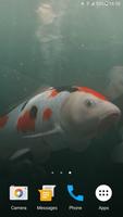 Koi HD Live Wallpaper 截图 2