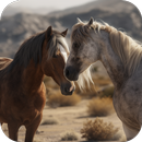 Wild Horses HD Live Wallpaper APK