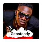 Geosteady Music App icône