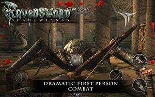 Ravensword: Shadowlands 3d RPG imagem de tela 2