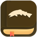 Fly Fishing Quiz