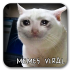 Memes Virales - Español-icoon