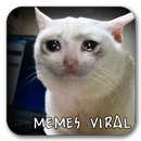 Memes Virales - Español APK