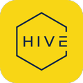 The Hive Hostels