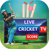CricScore: Live Cricket Score