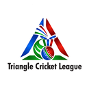Triangle Cricket League APK