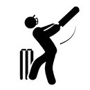 Singhal Sports Cricket Leagues APK